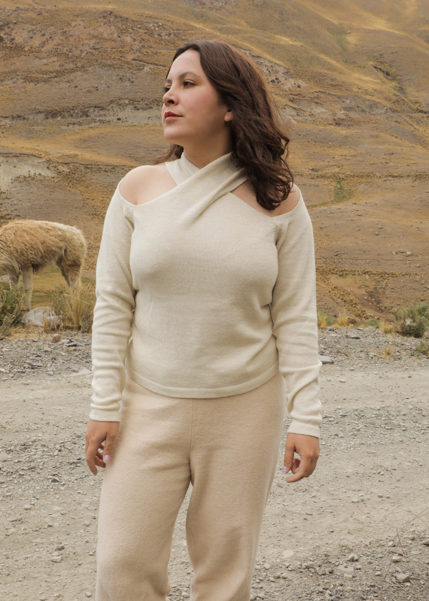 Kusisa Alpaca Sweater