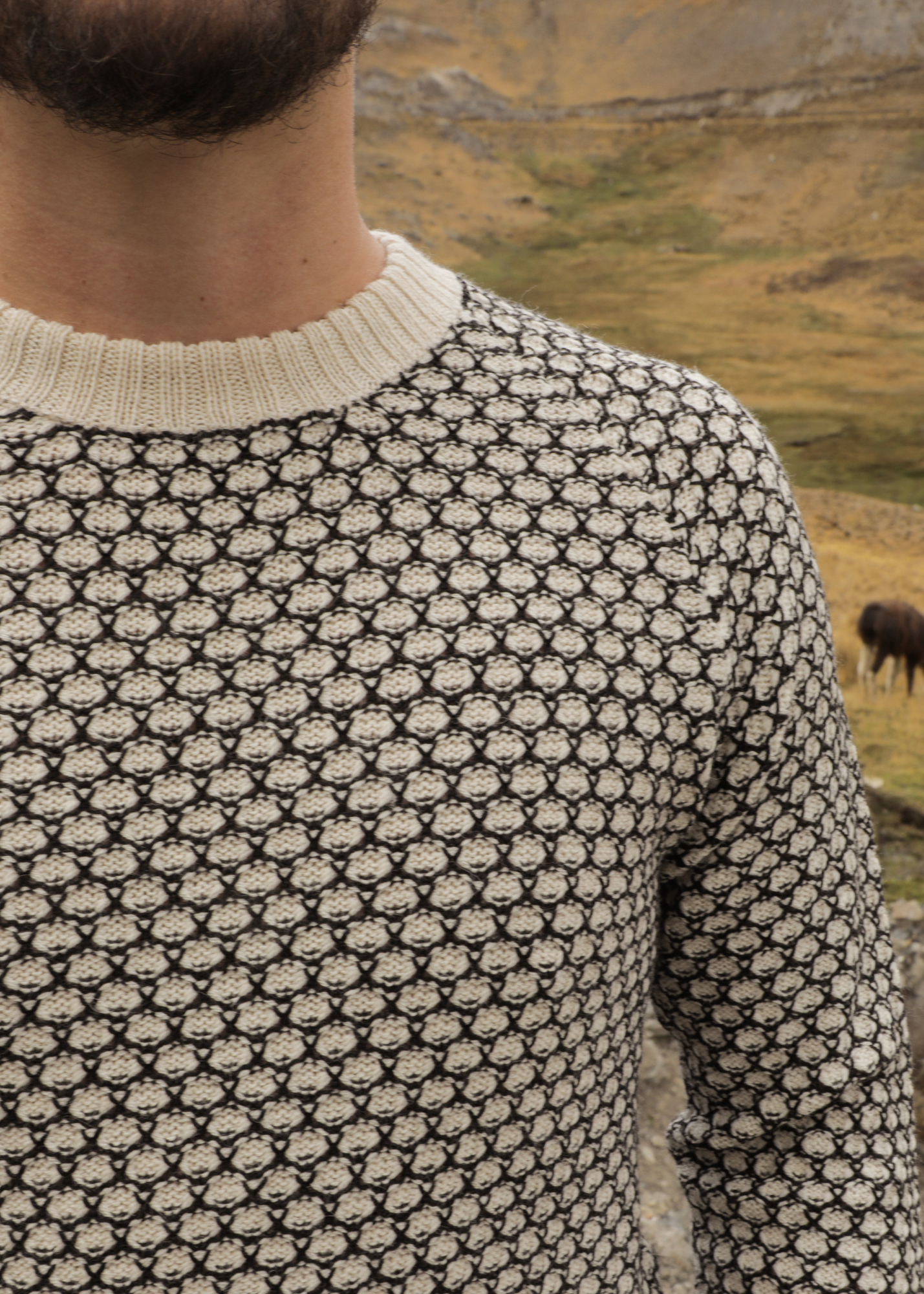 Kajiri Alpaca Sweater