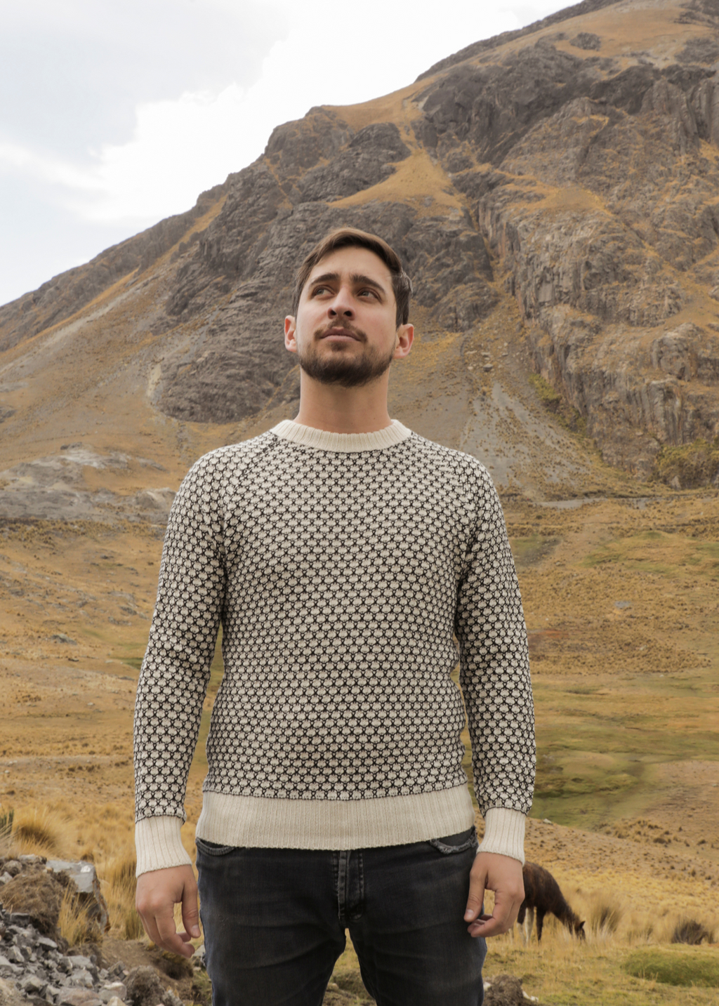 Kajiri Alpaca Sweater