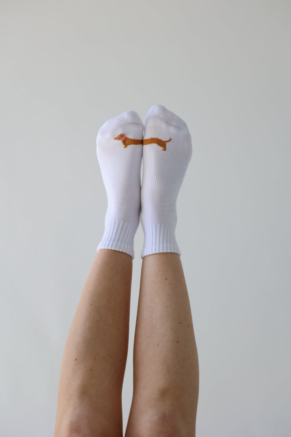 Dachshund sock
