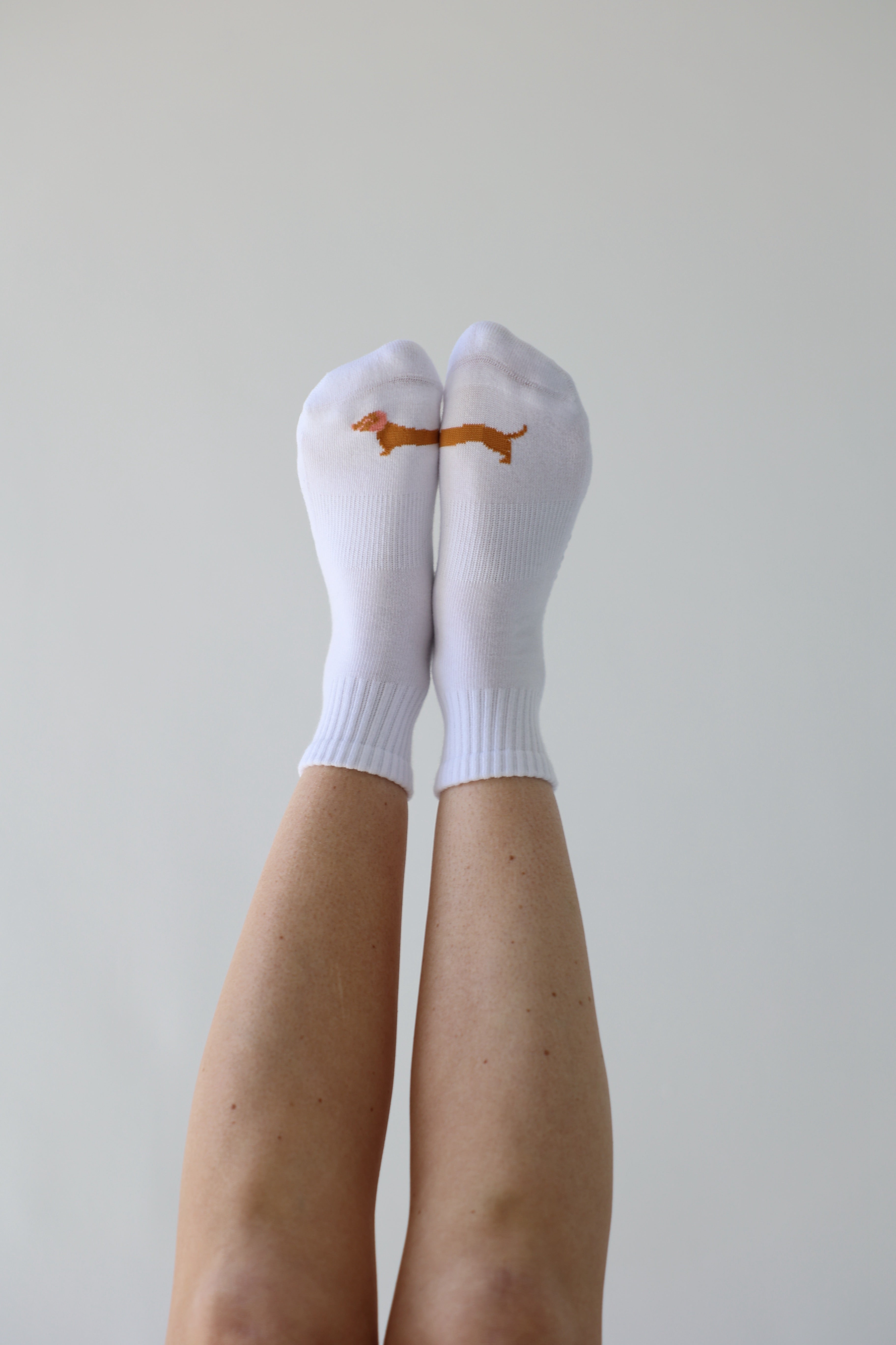 Dachshund sock
