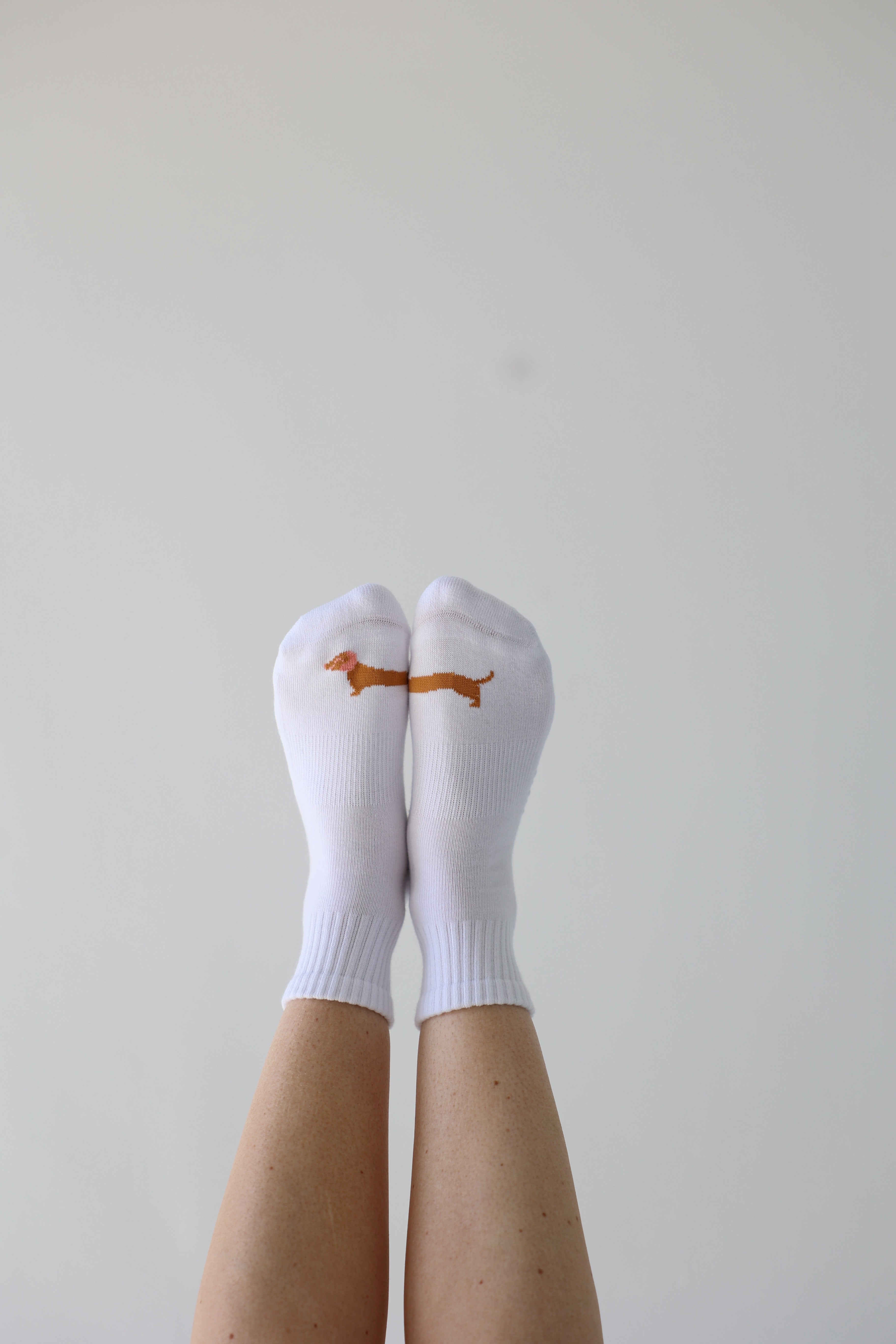 Dachshund sock