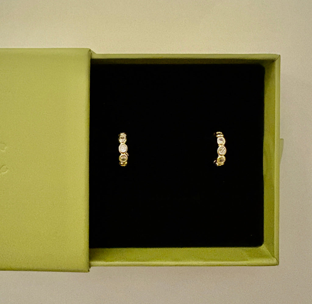 Lizzy Hoops