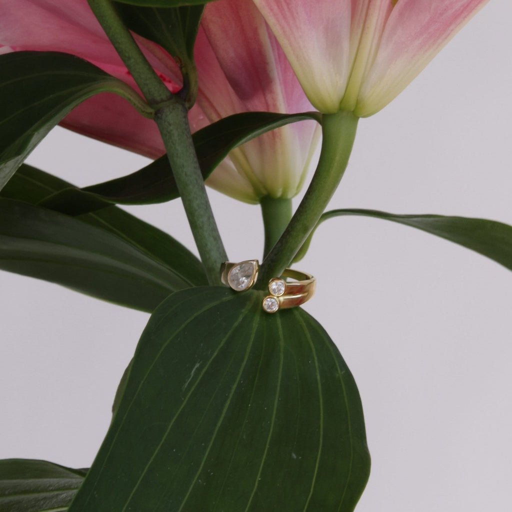 THE SIGNATURE FORMA RING - Decollective -  - 
